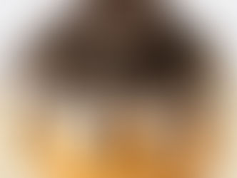 Cinnabon® Add New OREO Bons to Menu