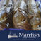 Marrfish responds to the recent downgrading of cod to a 5 on the MCS Good Fish Guide