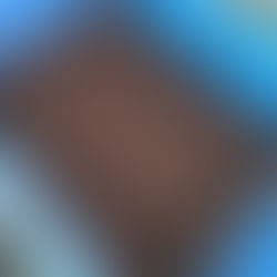 育苗はじめました