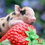 Thumbnail: Micro Pigs