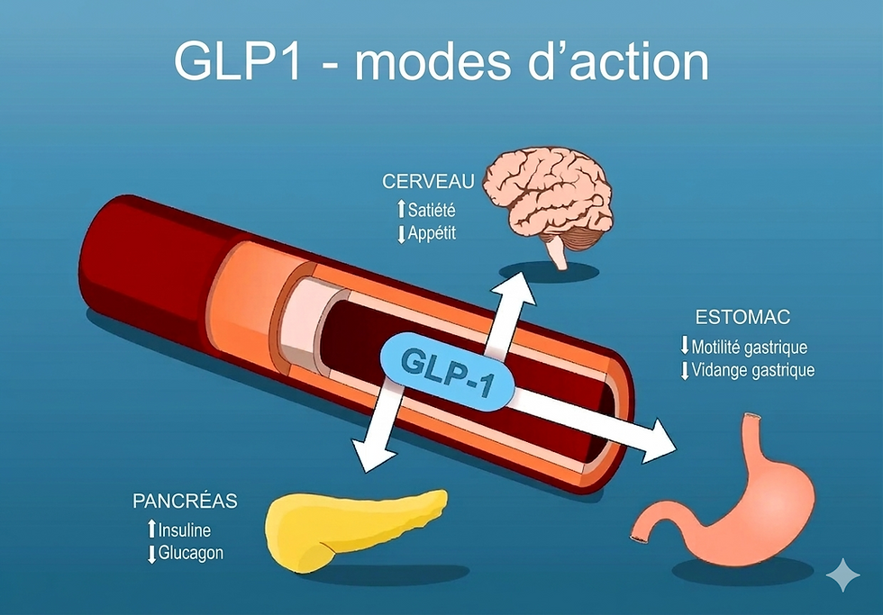 description des effets du GLP1