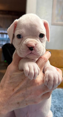 river 5 wks.jpg