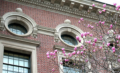 Silverman Spring (1) (1).jpg