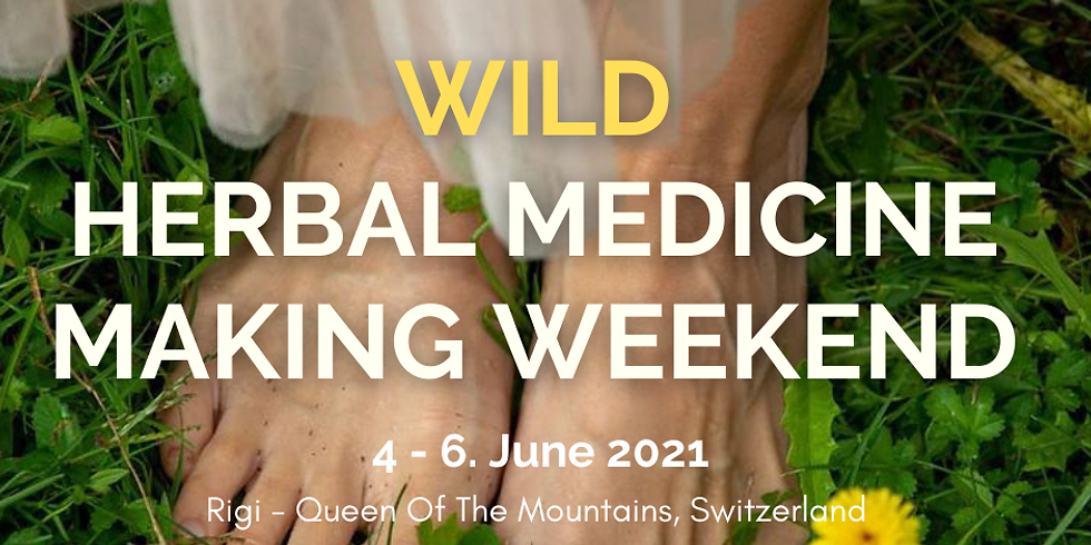 Summer Retreat - Wild Herbal Medicine Making