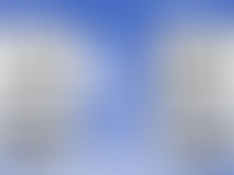 Master Your Mindset: A Superpower for Veterinary Professionals