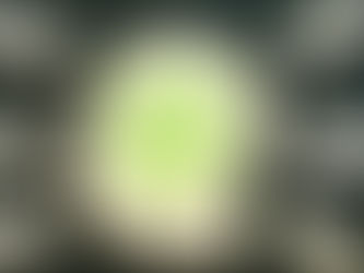 From Burnout to Brilliance: Resilience Skills Every Veterinary Professional Can Build