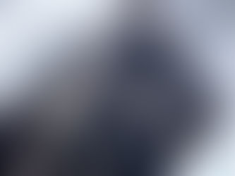 Thriving in Equine Veterinary Practices: The power of positive communication