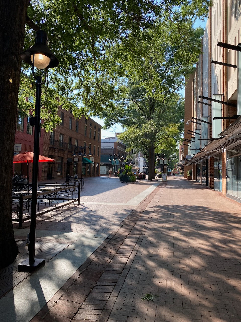 cville bites food tours - 1 of 29.jpeg