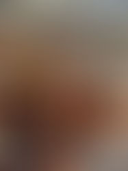 🌳 À la Sainte-Catherine, tout bois prend racine : pourquoi planter en automne est la meilleure idée pour votre jardin