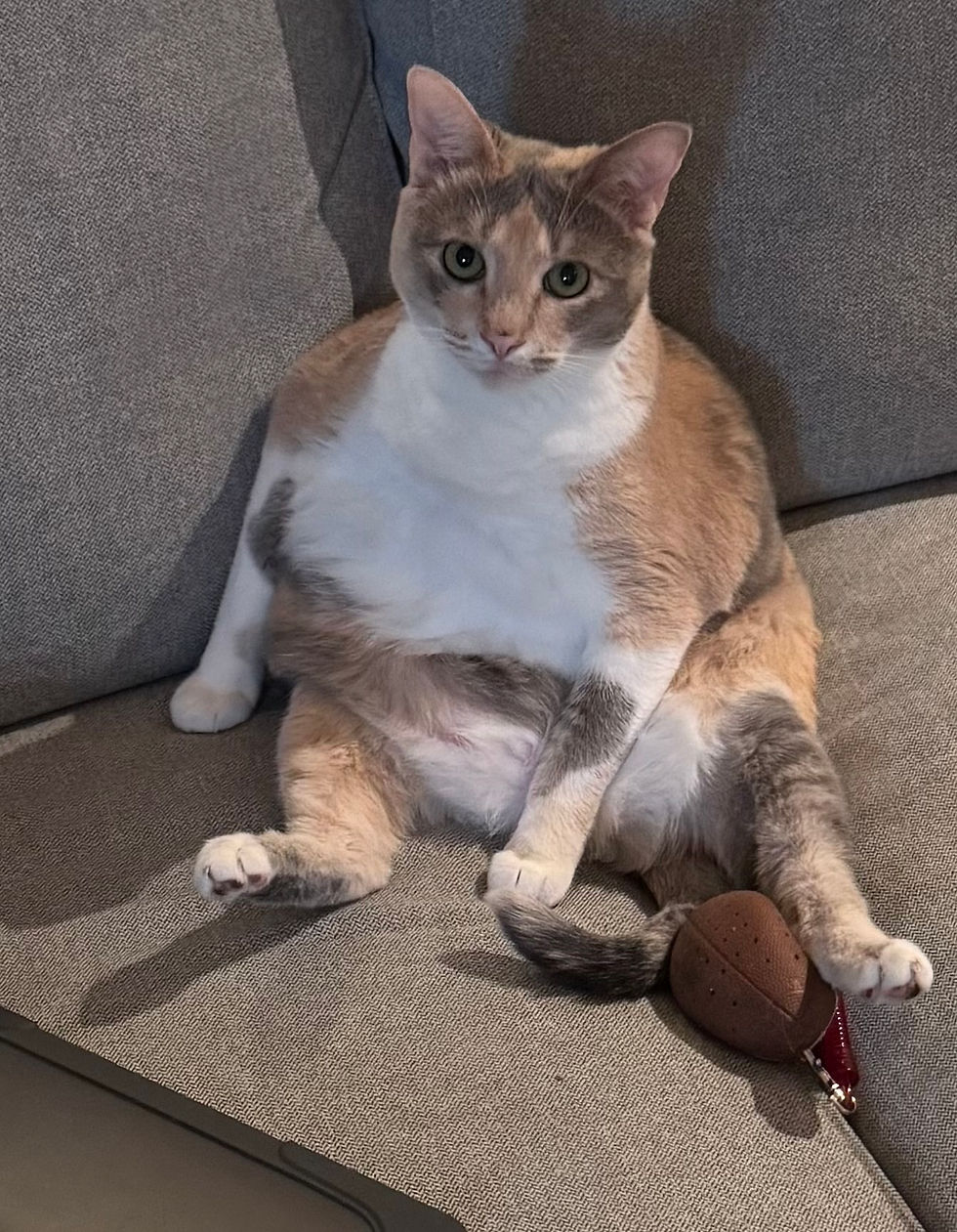 Chonnkles chilaxing (Chonkelaxing?)