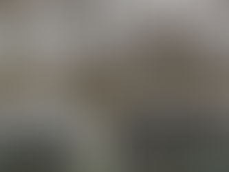 The Great Amsterdam Snowpocalypse