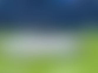 Olympics - US Wins the Gold! (and country 12 - France)