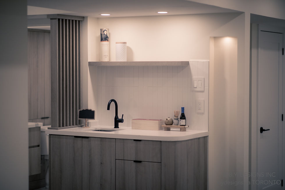 Basement Transformation