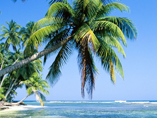 Referendo sobre independência da Nova Caledônia é cancelado