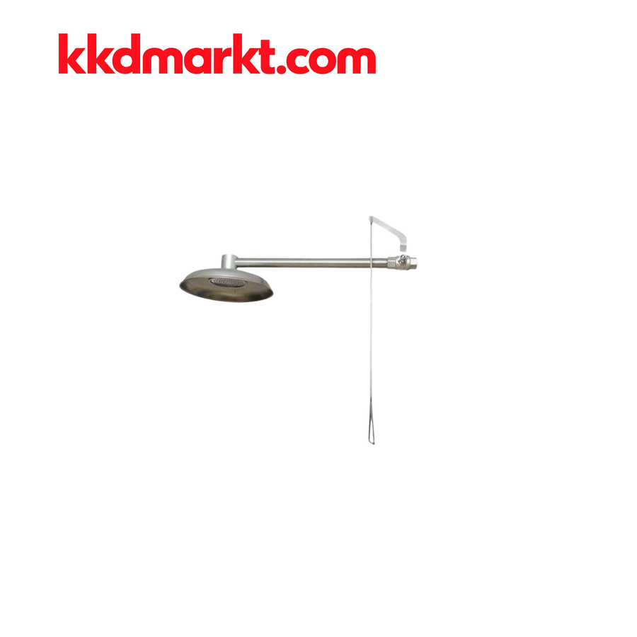 1710-5B-F Boy Duşu Duvara Flanş İle Monte 304 Paslanmaz Boy Duşu El Kumandalı