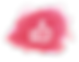 Türk Beğeni-min (1).png