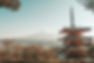 filiz-elaerts-MHs6pLaS5DY-unsplash_edited.jpg