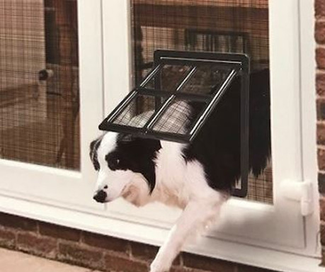 Pet Screen Doors Large Stock Image_edited.jpg