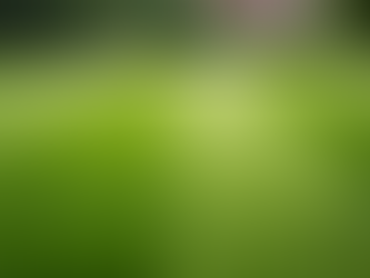 Urgent Help for Lawn Mowing Needs with Same-Day Lawn Care