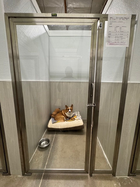 pet boarding in Los Angeles