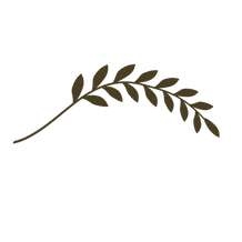 SGB Logo
