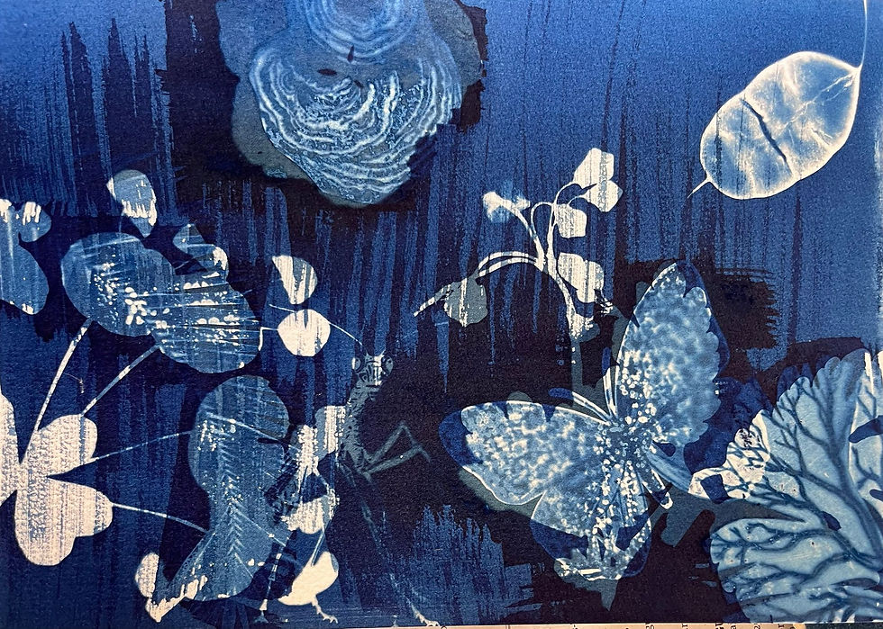 Cyanotype