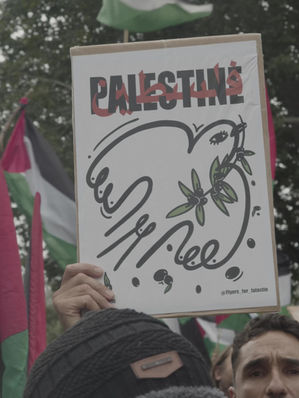 Cobertura para O Salto diario