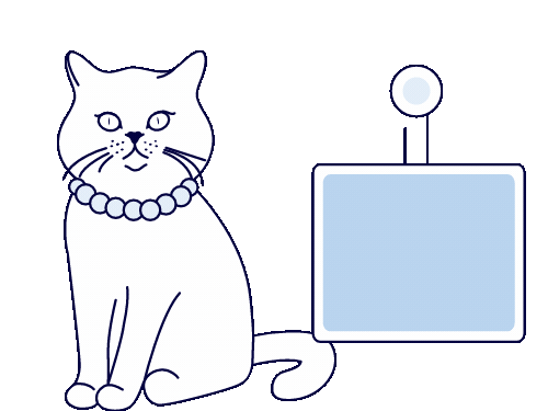 תמונה דיפולטיבית