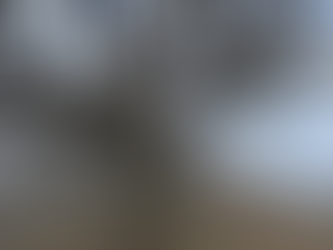 Séta a Fekete-hegyekben