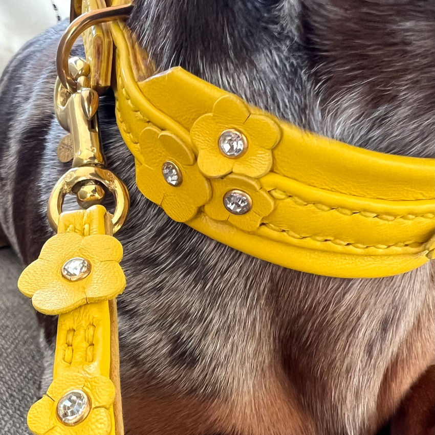 Miniaturbild: HUNDEHALSBAND FLORET