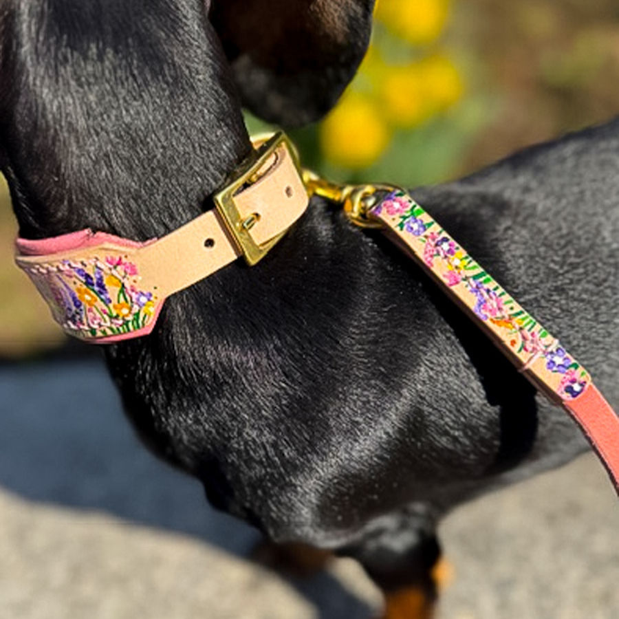 Miniaturbild: HUNDEHALSBAND WILDFLOWER