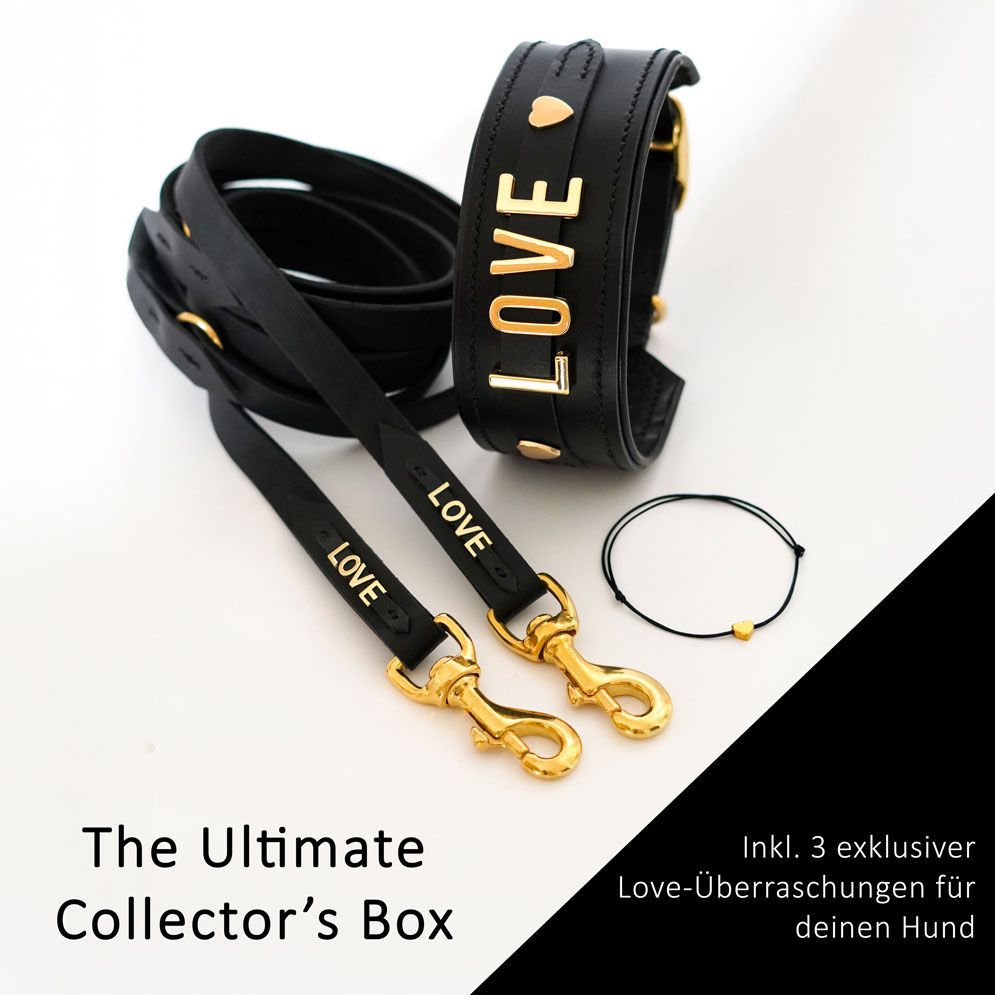 THE ULTIMATE COLLECTOR'S BOX S (bis 45cm Halsumfang)