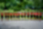 DSC_2483.jpeg