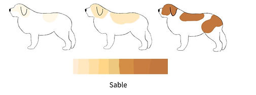 BaseColors_edited.jpg