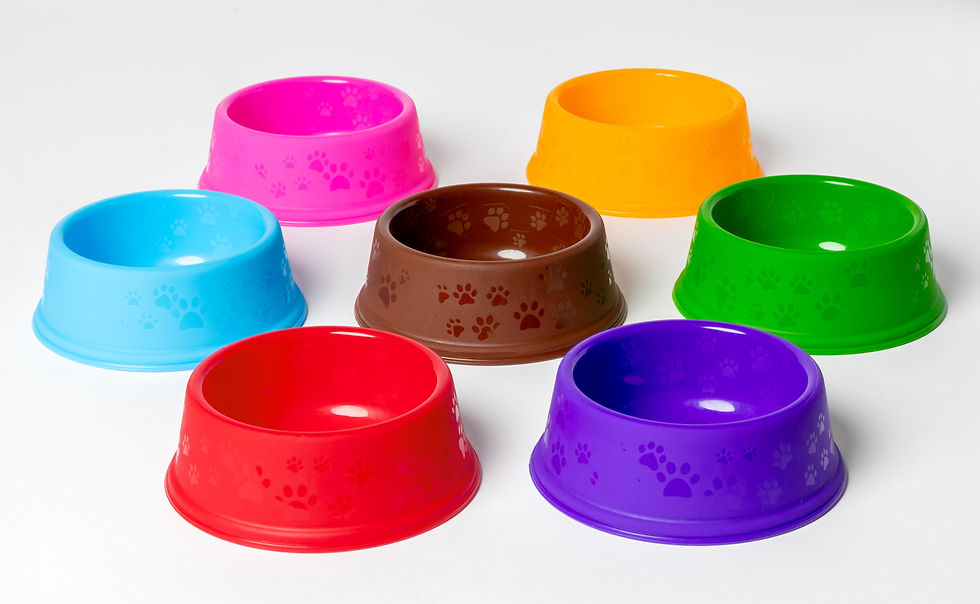 Comederos-de-plastico-para-perro_edited.jpg