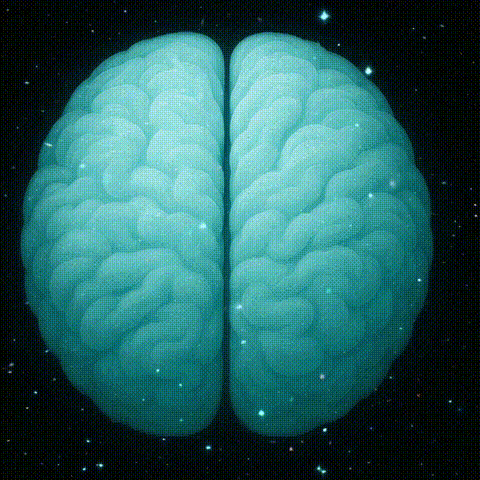 calmbrain-v2.gif