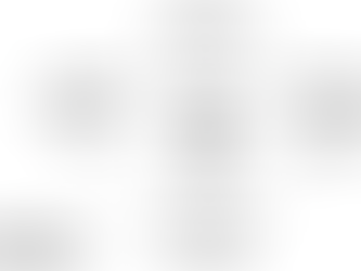 מה זה אפיון שפה ולמה אתם חייבים שיהיה לכם אחד