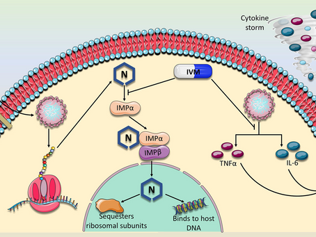 Repurposing Ivermectin for COVID-19: Molecular Aspects and Therapeutic Possibilities