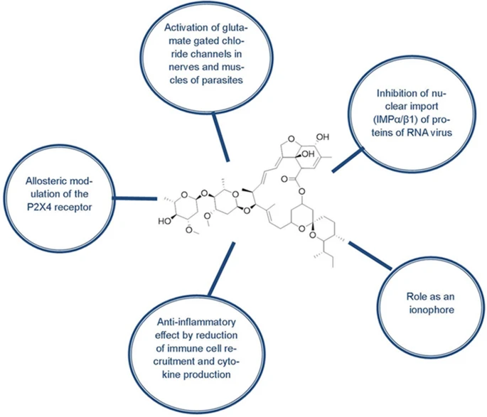 Ivermectin as a potential drug for treatment of COVID-19: an in-sync review with clinical and computational attributes