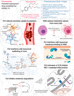 Fluvoxamine: A Review of Its Mechanism of Action and Its Role in COVID-19
