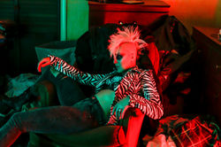 JosiePace-zebra