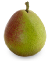 seckel-pear.png