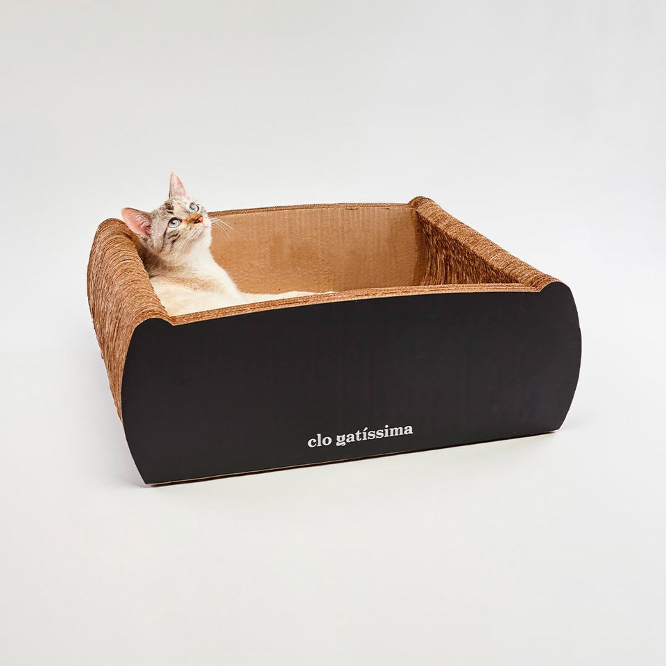 Arranhador Netuno frente