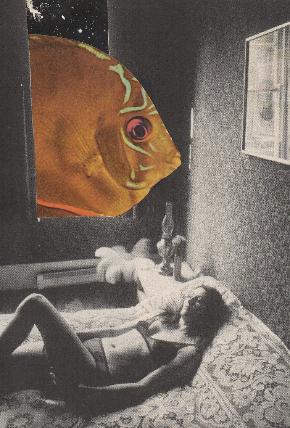 THE VOYEUR
