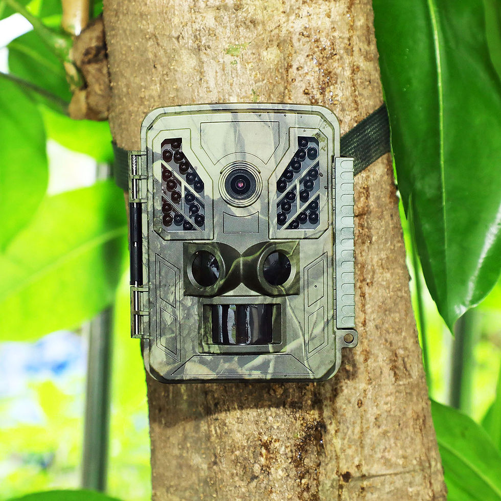 Thumbnail: 4K 36MP WiFi Infrared Camera for Outdoor Animal Monitoring
