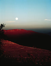 aerochrome bennici 1(19).jpg