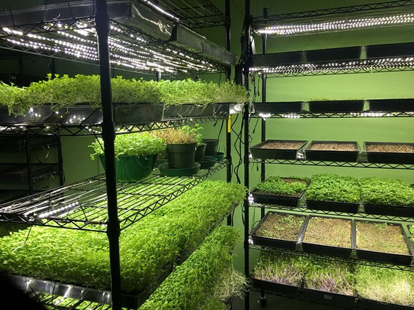 Indoor Organic Gardens of Poughkeepsie