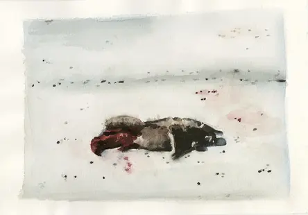 26.11.2011