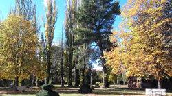 otoño m (5)