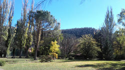 otoño m (6)